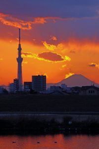 里見公園,スカイツリー